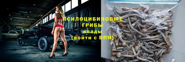 мдпв Лабытнанги