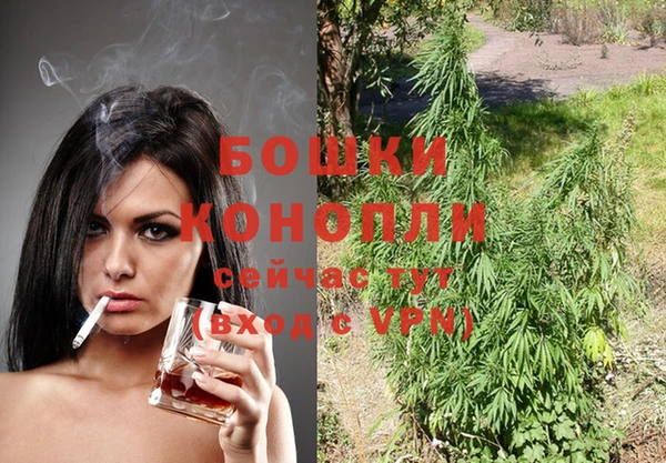 шишки Лиски